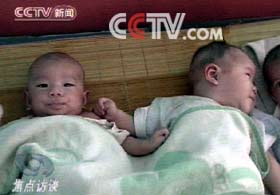 贩婴家族覆灭记